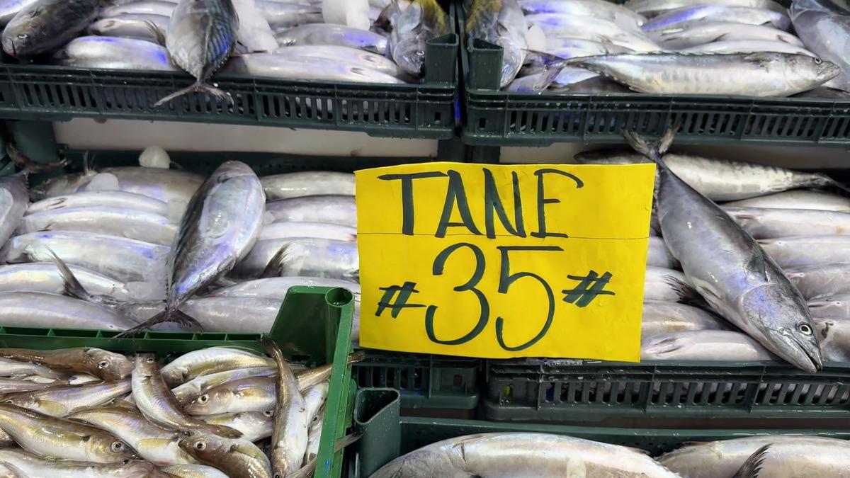 Fiyatı düştükçe düştü! Boş kasa balıktan pahalı oldu 3