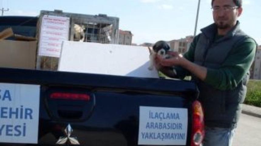 Yenişehir'de doğa konulu resim yarışması