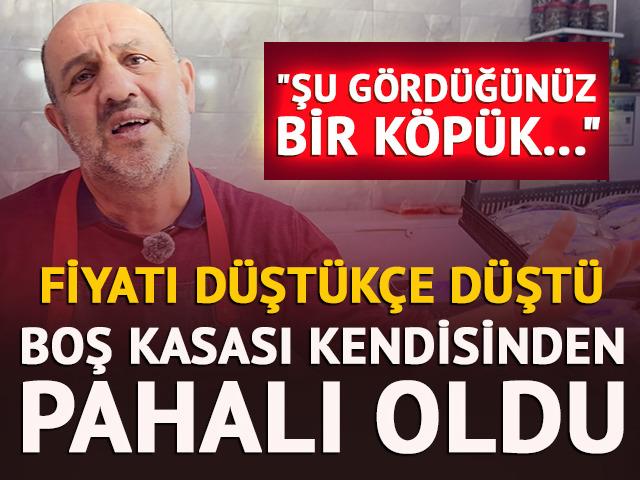 Fiyatı d&uuml;şt&uuml;k&ccedil;e d&uuml;şt&uuml;! Boş kasa balıktan pahalı oldu