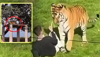 &Ouml;l&uuml;me b&ouml;yle y&uuml;r&uuml;m&uuml;ş! Yeni g&ouml;r&uuml;nt&uuml;ler ortaya &ccedil;ıktı
