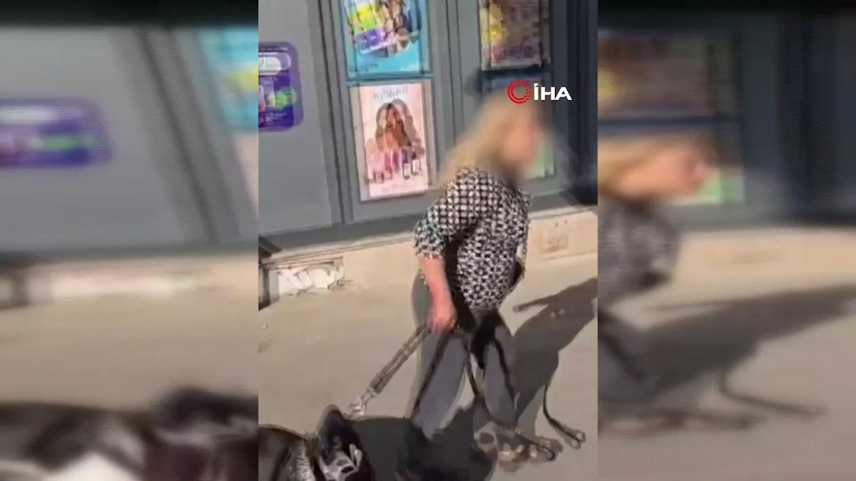 Esenyurt ta Pitbull dehşeti: Kediyi saniyeler içinde parçaladı! Sahibine verilen ceza belli oldu 5