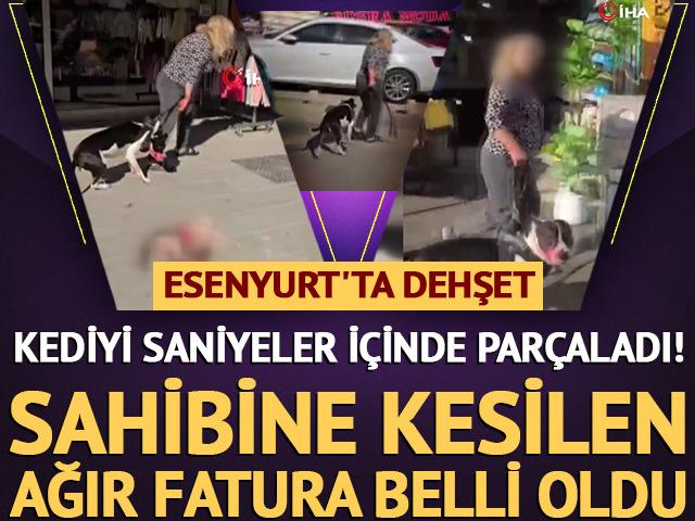 Esenyurt'ta Pitbull dehşeti: Saniyeler i&ccedil;inde par&ccedil;aladı! 