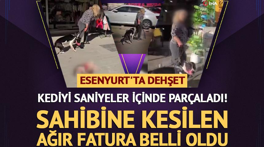 Esenyurt'ta Pitbull dehşeti: Saniyeler i&ccedil;inde par&ccedil;aladı! 