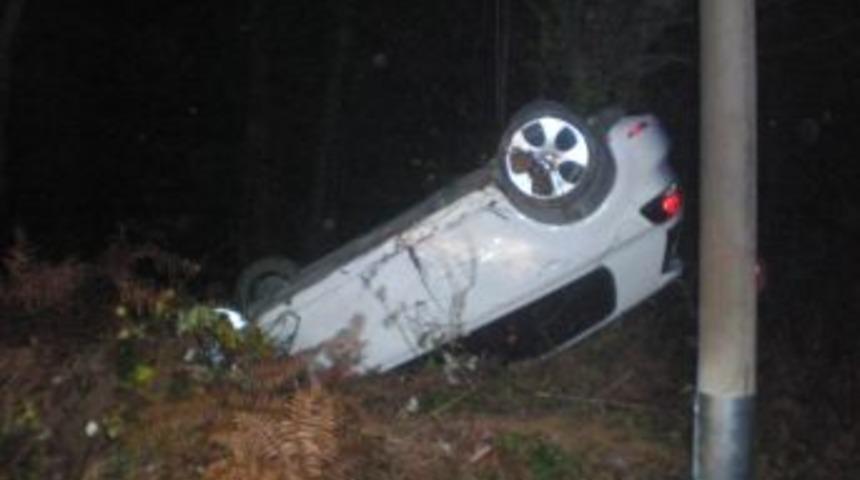 Virajı alamayan otomobil ormanlık alana u&ccedil;tu: 1 yaralı