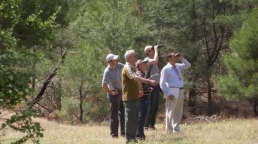 T&uuml;rkiye'de her yıl 20 bin ağa&ccedil; sağlık kontrolundan ge&ccedil;iriliyor