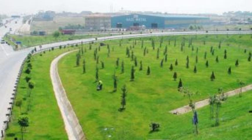 TEM Otoyolu'nun kenarlarına 369 bin fidan dikildi