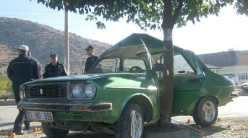 Ağaca çarparak durabildi