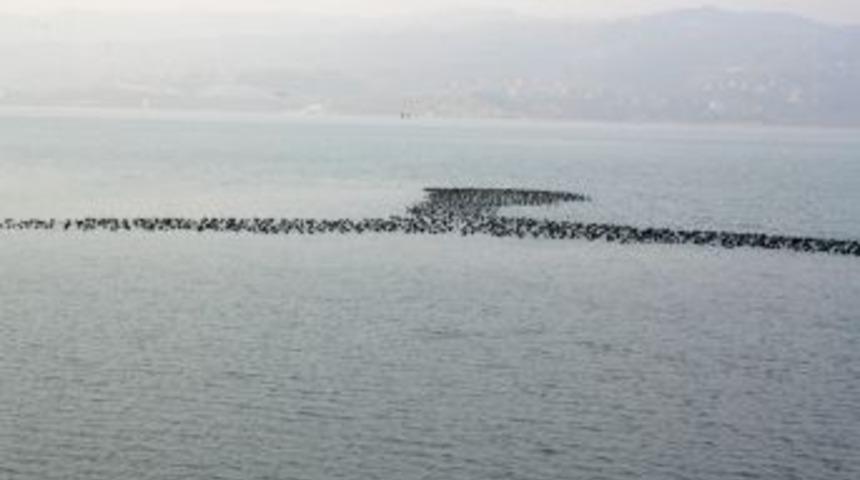 Havalar iyi gidince g&ouml;&ccedil;men kuşlar g&ouml;&ccedil;mekten vazge&ccedil;ti