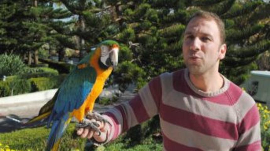 Otelin maskotu papağan, turistleri 'babacığım' diyerek karşılıyor