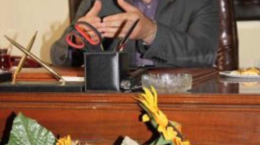 "Ay&ccedil;i&ccedil;ek &uuml;retiminde gerideyiz"