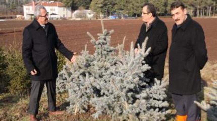 &quot;Yeni yıla ağaç keserek değil, fidan dikerek girin&quot;