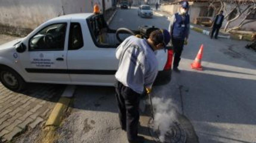 Denizli’de haşereyle mücadele kışın da devam ediyor