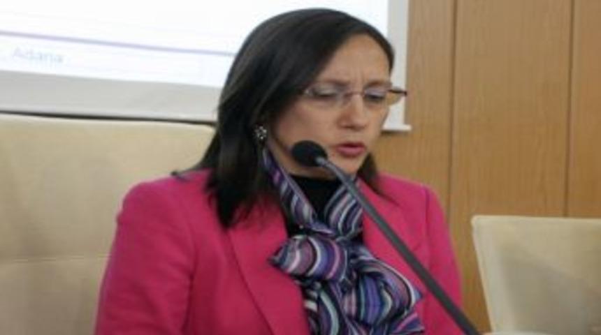 AB uzmanı Akşin: Enerji konusunda &ouml;nemli ilerleme kaydettik