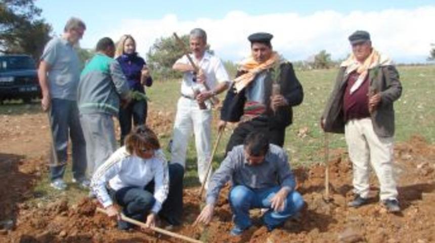 Yerleşik yabancılar, yılbaşı &ouml;ncesi Y&ouml;r&uuml;klerle birlikte &ccedil;am fidanı dikti