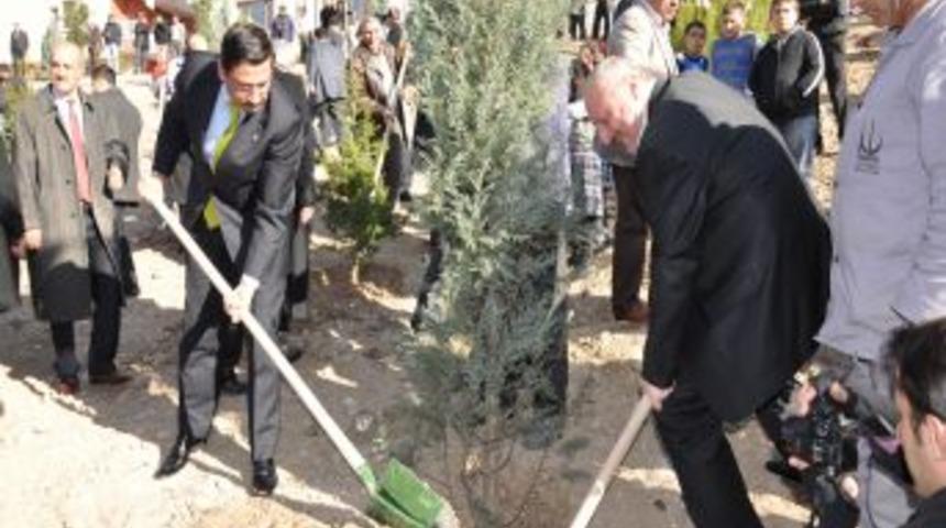 Ke&ccedil;i&ouml;ren'de ağa&ccedil;landırma seferberliği devam ediyor