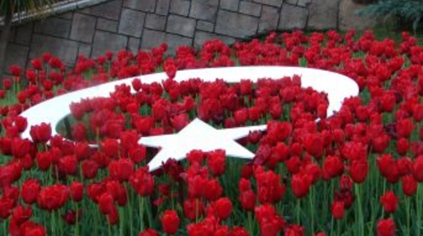 Manavgat Belediyesi 25 bin adet lale dikti