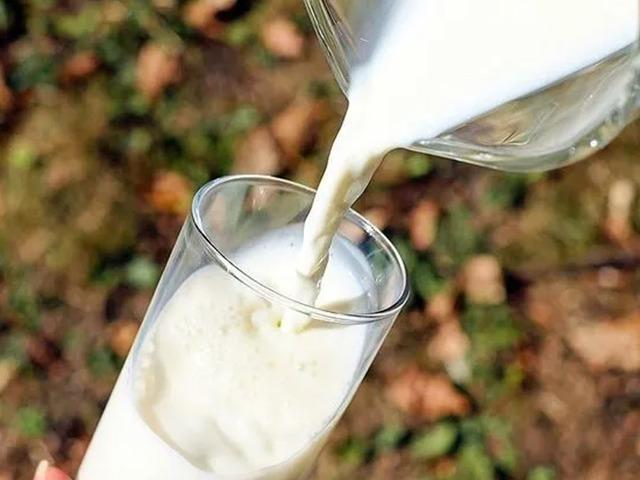Mesleki yeterlilik belgeli &ccedil;alışanla toplanan &ccedil;iğ s&uuml;t i&ccedil;in ilave destek verilecek