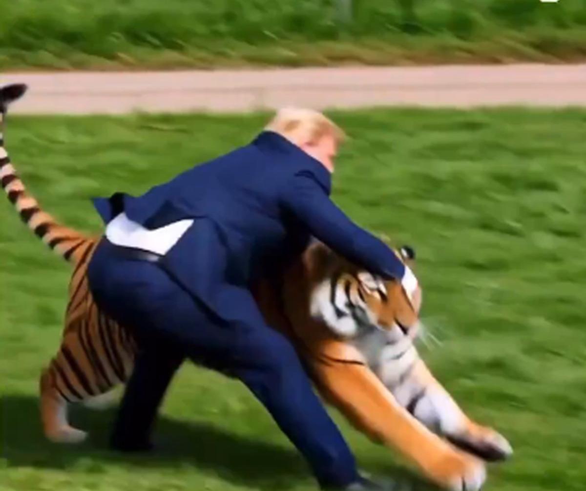 İngiltere deki kaplan faciası g&uuml;ndem olmuştu! Trump tan dikkat &ccedil;eken paylaşım 2