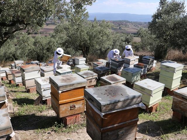 Baba mesleğini teknolojiyle buluşturdu! &Uuml;retimini ihracata taşıdı