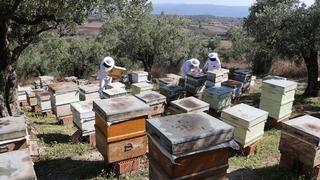 Baba mesleğini teknolojiyle buluşturdu! Üretimini ihracata taşıdı