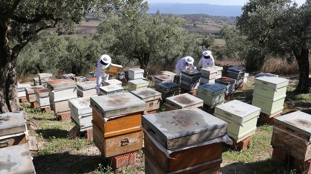 Baba mesleğini teknolojiyle buluşturdu! Üretimini ihracata taşıdı