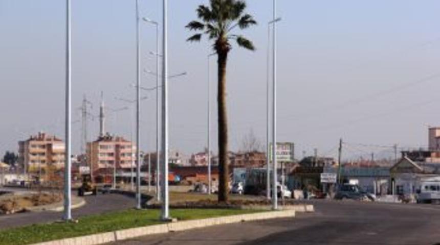 Merhum milletvekilinin vasiyeti &uuml;zerine kavşağa 50 yıllık palmiye dikildi