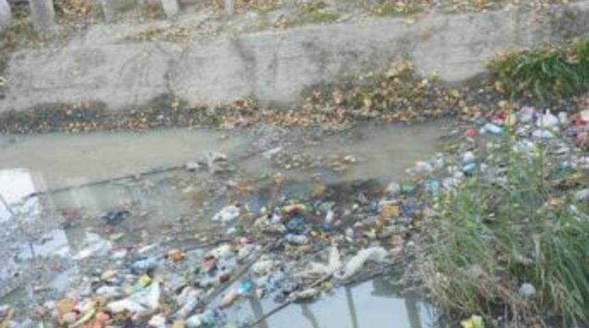 Dereboyu hastalık sa&ccedil;ıyor