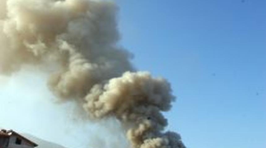 G&ouml;ve&ccedil;lik&rsquo;te &ccedil;ıkan yangın korkuttu