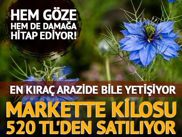 Hem g&ouml;ze hem de damağa hitap ediyor! Markette kilosu 520 TL'den satılıyor