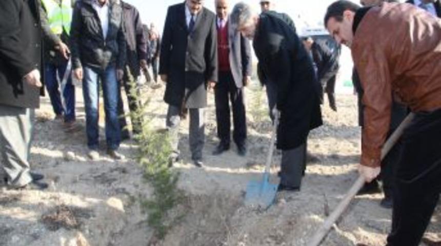 Sincan'da &ouml;ğrenciler fidanları toprakla buluşturdu