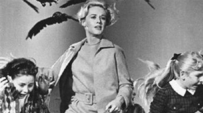 Korku klasiği &lsquo;Kuşlar&rsquo; filminin sırrını T&uuml;rk profes&ouml;r &ccedil;&ouml;zd&uuml;