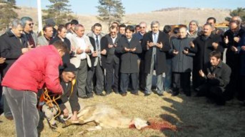 Karla m&uuml;cadele &ouml;ncesi kurban kestiler