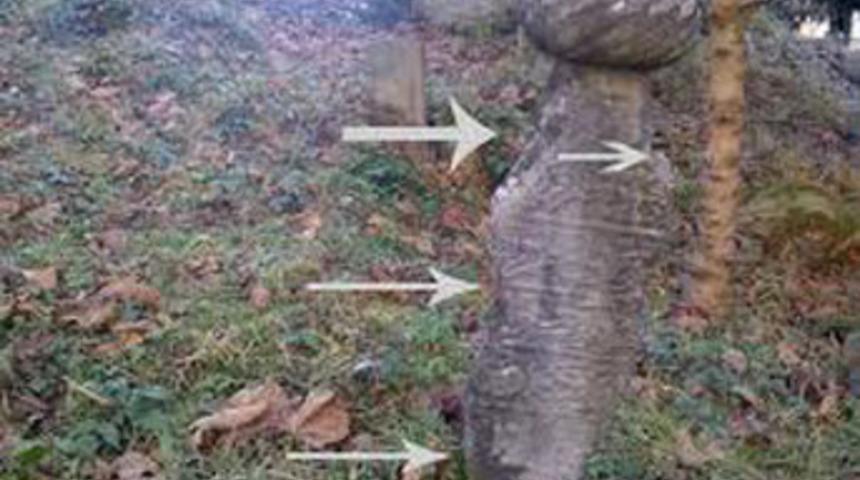 Çamlıhemşin'de esrarengiz mezar taşı