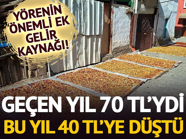 Ge&ccedil;en yıl 70 TL'yken bu yıl 40 TL'ye d&uuml;şt&uuml;: Ek gelir kaynağı 