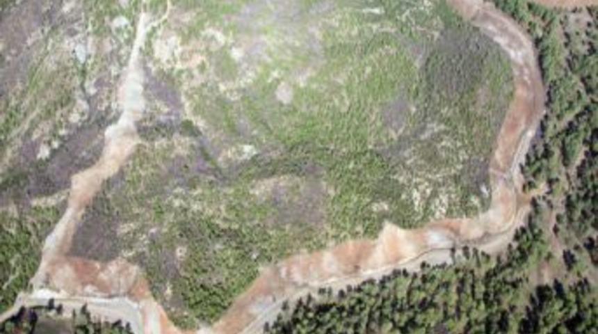 Muğla'da yanan orman alanları rehabilite ediliyor