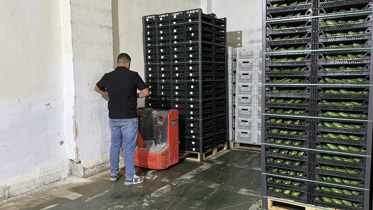 Kasa kasa G&uuml;rcistan a yola &ccedil;ıktı: 3 g&uuml;n sonra market raflarında 6