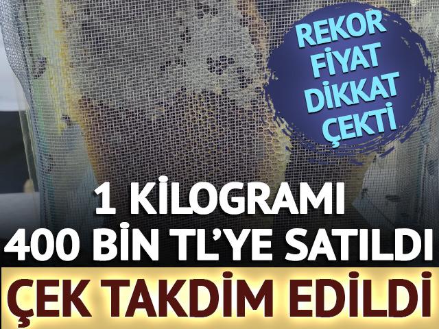 1 kilosu 400 bin TL'ye satıldı: &Uuml;reticilere &ccedil;ek verildi