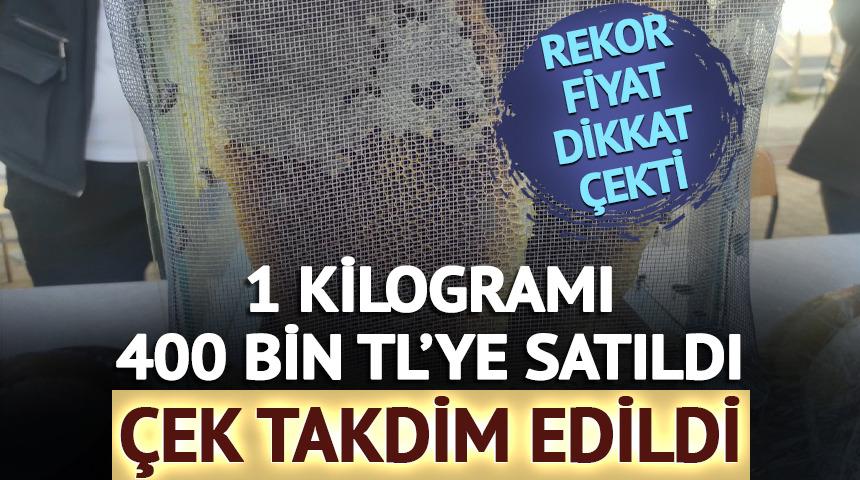 1 kilosu 400 bin TL'ye satıldı: &Uuml;reticilere &ccedil;ek verildi