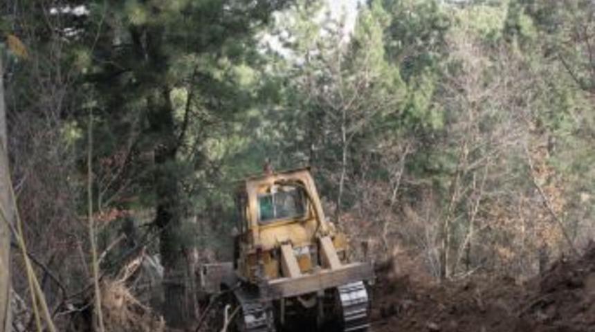 Uludağ'da &ccedil;ıkan orman yangını devam ediyor