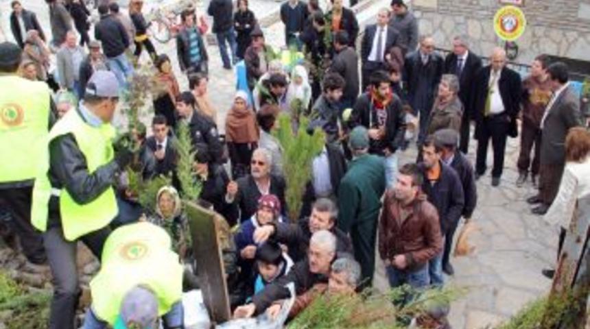 Muğla&rsquo;da 10 bin fidan dağıtıldı