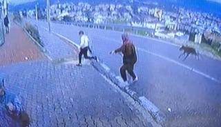 Bursa'da k&ouml;pek dehşeti kamerada: &Ccedil;ocuk ka&ccedil;arken bacağını kırdı