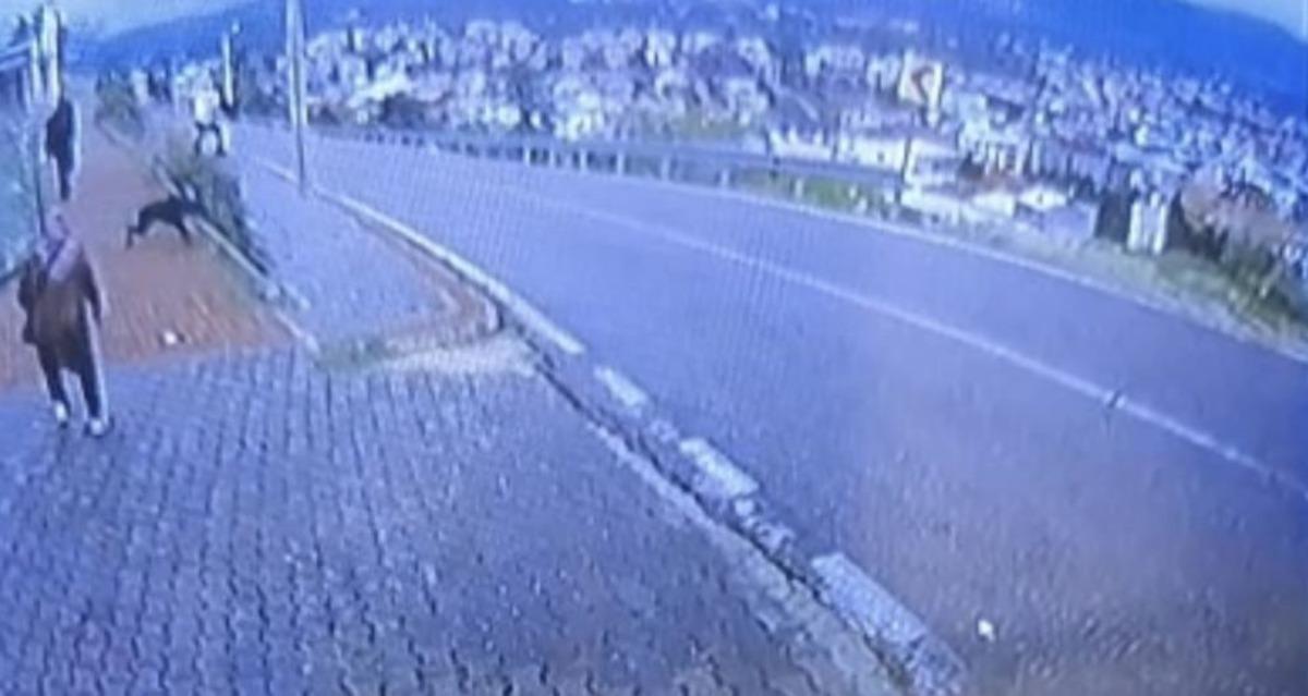 Bursa da köpek dehşeti kamerada: Çocuk kaçarken bacağını kırdı 2