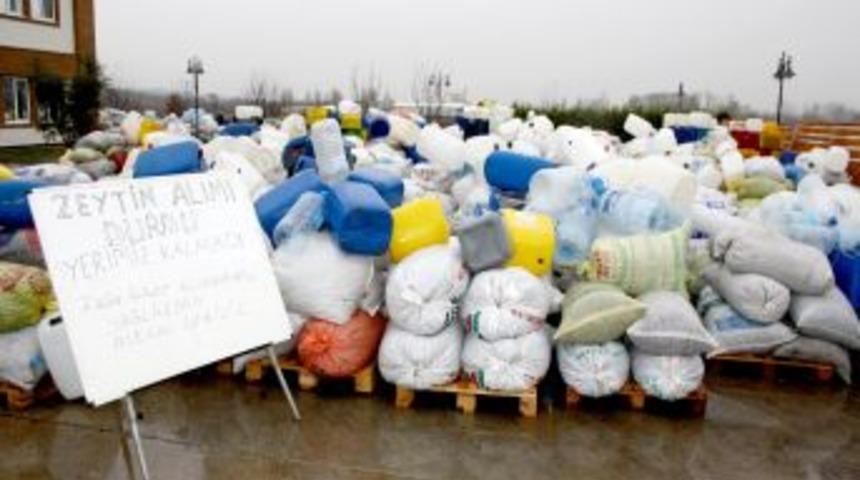 Zeytini bu kez ayaz vurdu, &uuml;retimin y&uuml;zde 80&rsquo;i yağlık oldu