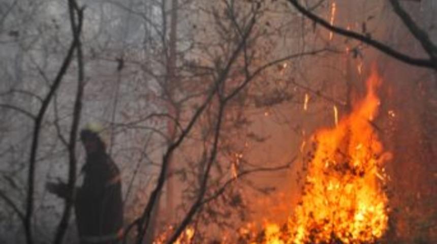 Sakarya'da İl Ormanı'nda 3 hektarlık alan yandı