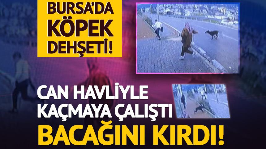 Bursa'da k&ouml;pek dehşeti kamerada: &Ccedil;ocuk ka&ccedil;arken bacağını kırdı