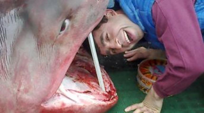 &Ouml;l&uuml; k&ouml;pek balığına &lsquo;ucuz kabadayılık&rsquo;