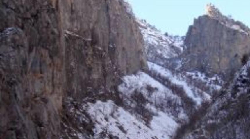 Tunceli&rsquo;de ter&ouml;r &ouml;rg&uuml;t&uuml;n&uuml;n sığınakları imha edildi