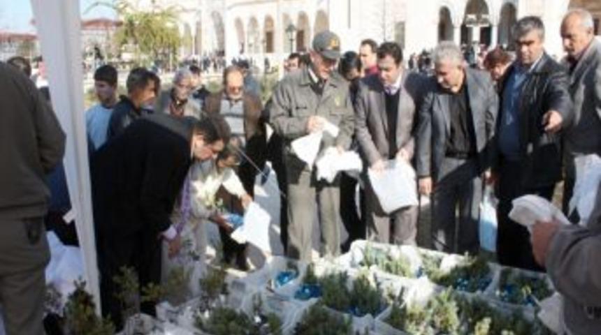 Kahya: Yeni yılı ağaç keserek değil, fidan dikerek kutlayalım