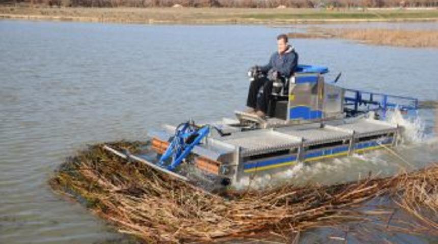 Kazak G&ouml;leti'ndeki sazlıklar temizleniyor