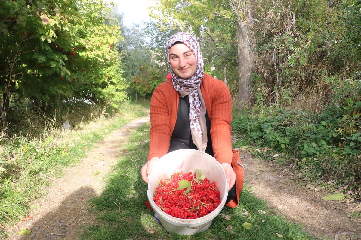 500 TL den bidon bidon satıyorlar! Kayseri de  kırmızı altın  hasadı başladı 5